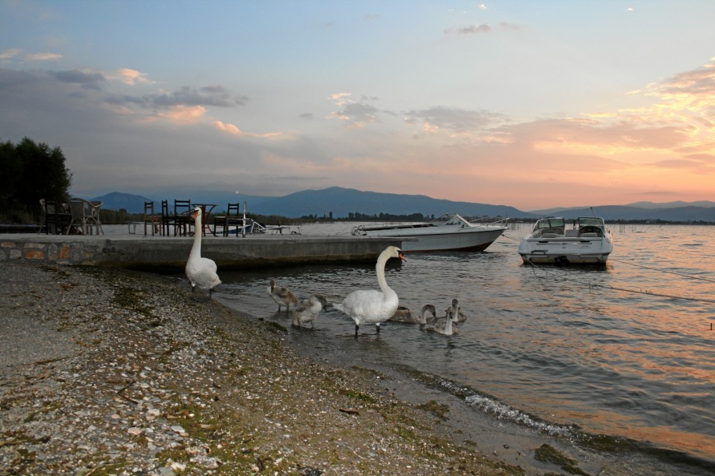 MK, Kalishta, Campingplatz