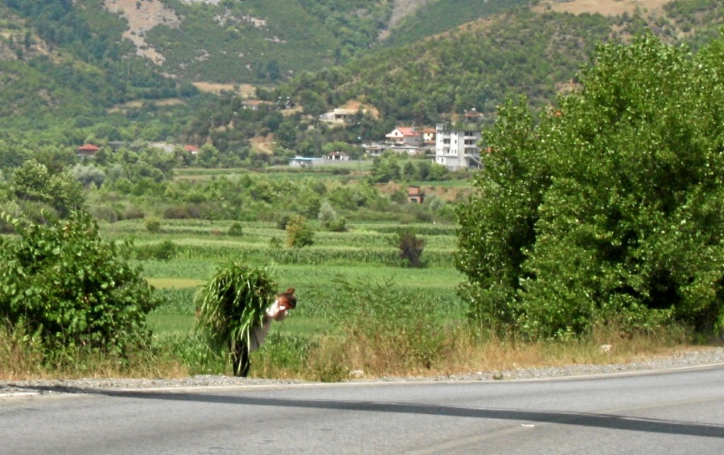 Albanien, Straße